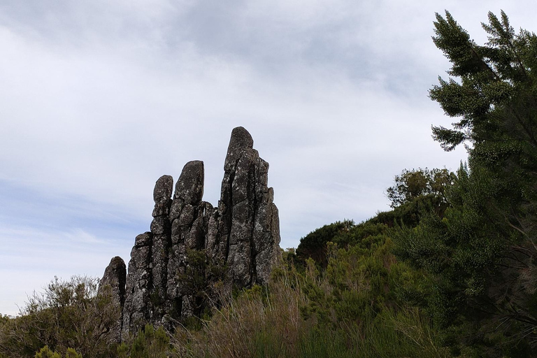 Funchal : randonnée au Pico Ruivo et à l&#039;Achada do Teixeira avec transfertFunchal : transfert pour randonnée au Pico Ruivo et à Achada do Teixeira