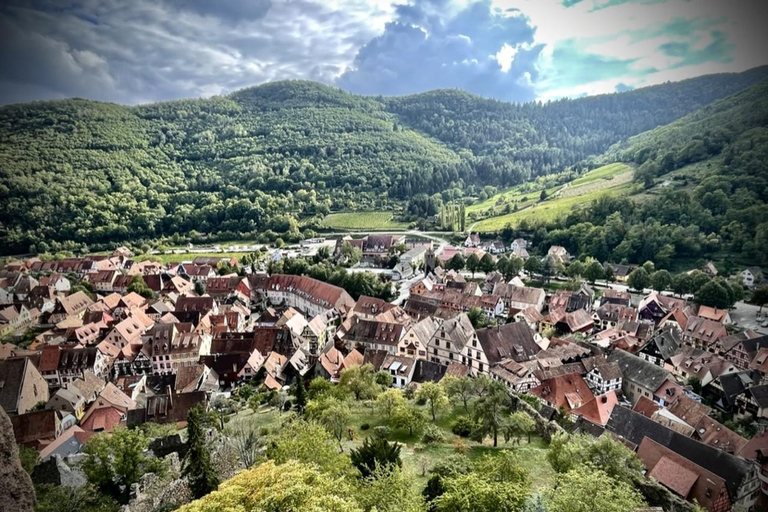 Desde Colmar: Excursión privada a los pueblos y vinos de Alsacia con guía local.Desde Colmar: Excursión privada por los pueblos y viñedos de Alsacia con guía local