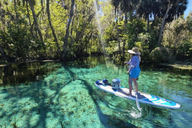 Silver Springs: Manatíes y Monos Excursión guiada en kayak transparenteSilver Springs: Manatíes y Monos Excursión Guiada en Kayak Claro