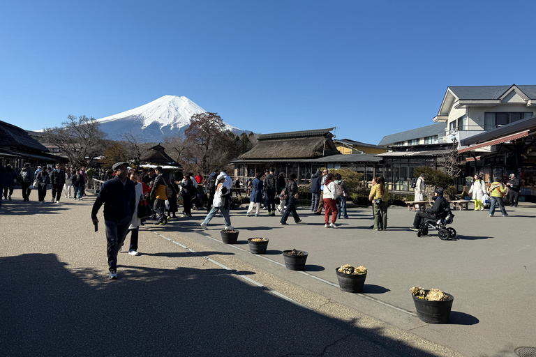 Tokyo: Mt Fuji A Journey Through Nature, History & Culture Tokyo: Mt Fuji A Journey Through Nature, History, & Culture