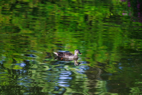 West Lake: Seasonal Masterpiece (100% Bespoke Private Tour)