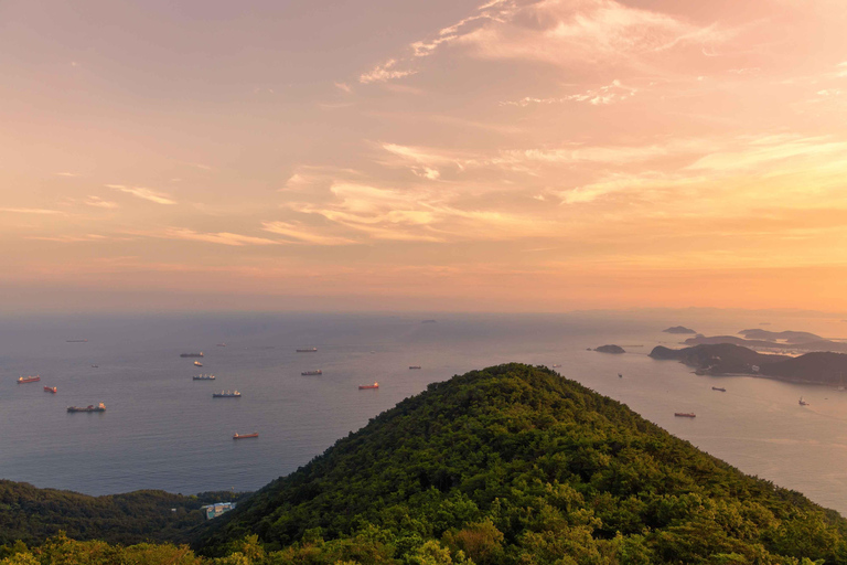Busan Bongnaesan mountain 395m Morning Hiking Tour