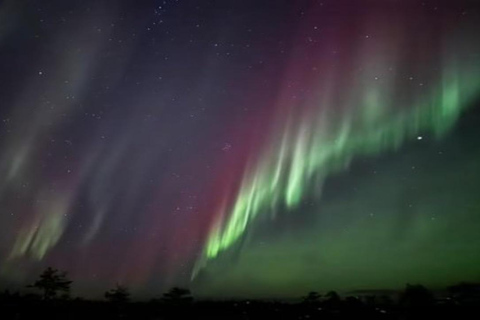 Rovaniemi: Prywatna wyprawa Aurora Borealis o północy