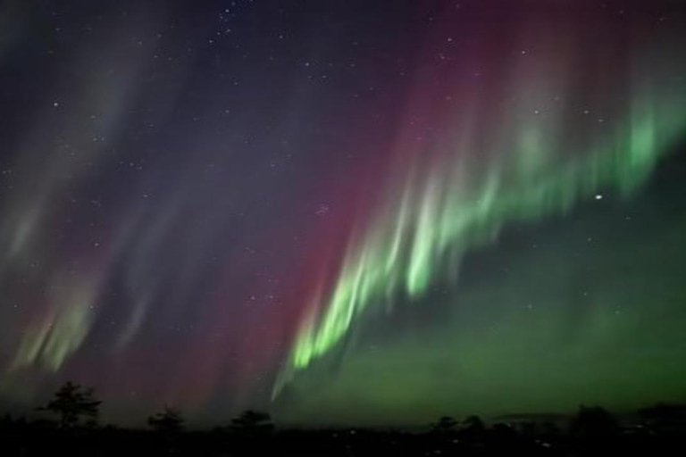 Rovaniemi: expedição particular à Aurora Boreal à meia-noite