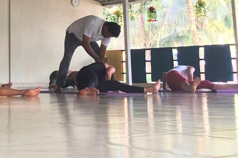 Goa: Ashtanga Cyril Yoga Retreat with Accommodation