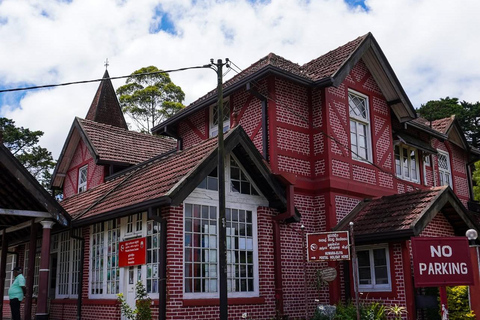 Kandy to Ella Private Transfer Via Nuwara Eliya City Tour