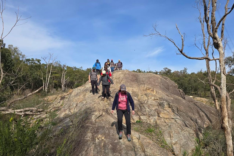 Perth: Kaarakin Black Cockatoo Conservation Tour & Hike