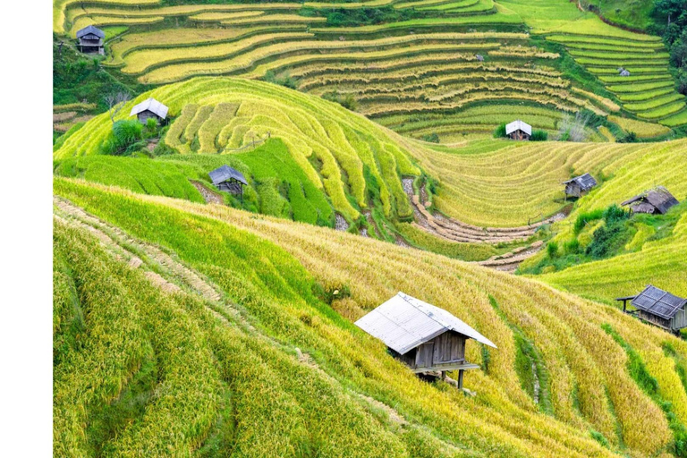 Incredible Mai Chau - Puluong - Ninh Binh: 3 Days, 2 NightsShare a dormitory in Pu Luong and a private room in Tam Coc