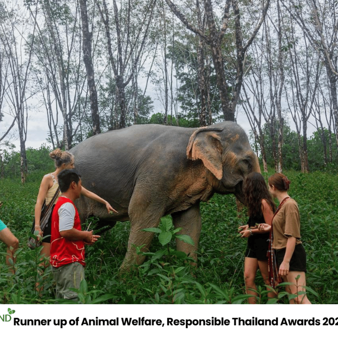 RollSushi | Oslo, image size:1080x1080