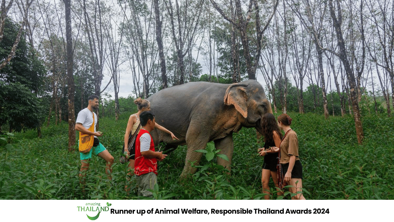 Khao Lak: 2-stündiger Eco-Walk im Elefantenschutzgebiet mit geführtem Rundgang