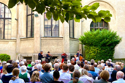 Klassiek in Museum | Klassik im Museum