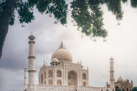 Agra: tour gastronómico por Sadar Bazar (opciones disponibles)Delhi: tour con todo incluido por el jardín Lodhi con opción de spa