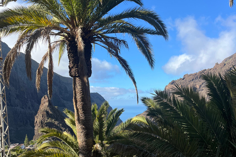 Tenerife: Masca, Los Gigantes & Natural Pools + Picnic Tour with Pick-up and Drop-off at your Hotel (South)