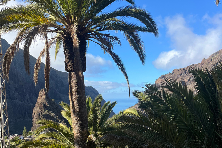 Tenerife: Masca, Los Gigantes & Natural Pools + Picnic Tour with Pick-up and Drop-off at your Hotel (South)