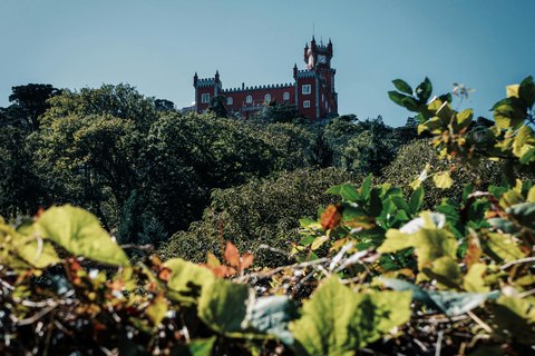 From Lisbon: Sintra Half-Day Tour with Pena Palace Tickets Small Group Tour with Pena Palace Tickets