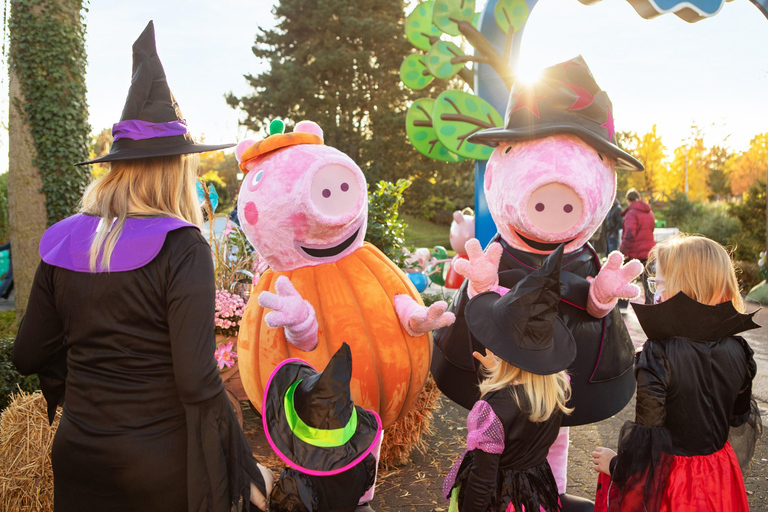 Soltau: Heide Park Resort Day Ticket Admission Ticket Regular Season