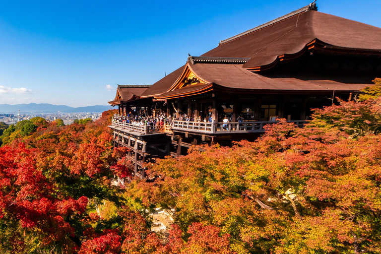 Kyoto: Kiyomizu-dera, Ninenzaka & Gion Evening Tour Group Tour