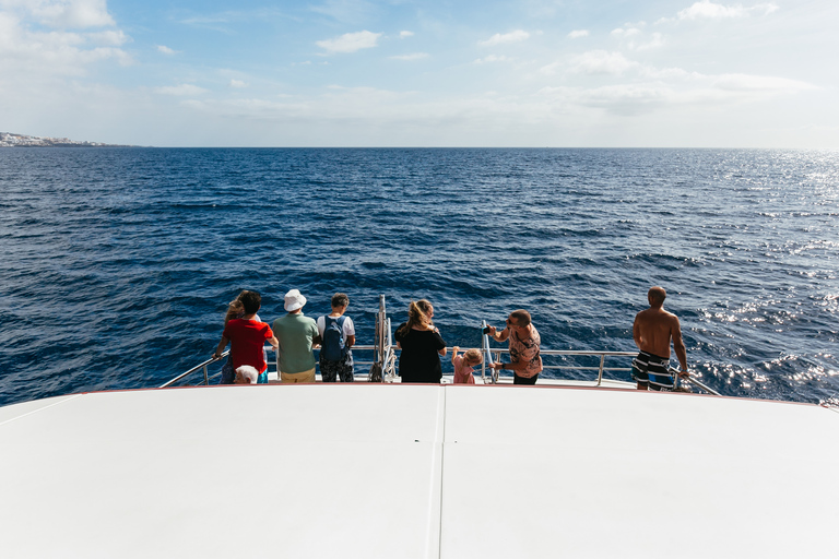 Depuis Adeje : croisière baleines et dauphins avec déjeunerVisite guidée sans prise en charge à l’hôtel