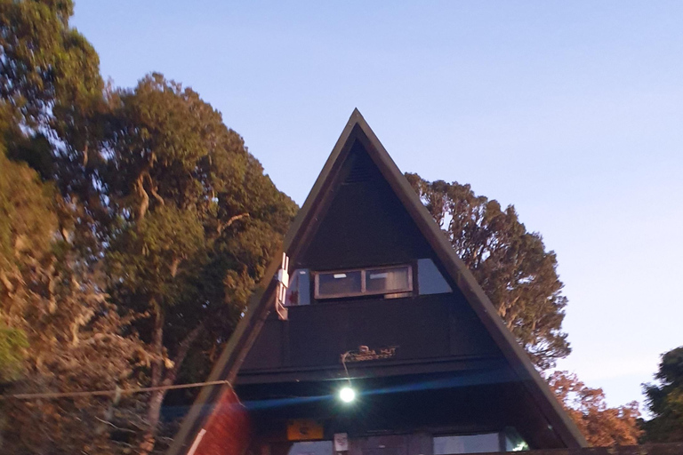 Randonnée d&#039;une journée sur le mont Kilimandjaro à travers la porte de Maranguprix de groupe