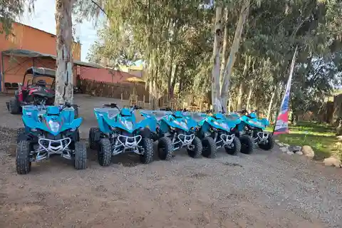 Agadir: Quad Bike Desert&Beach Adventure with Free Pickup