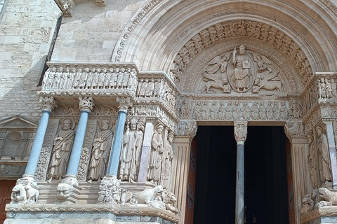 Arles Roman jewel & Provence wildlife
