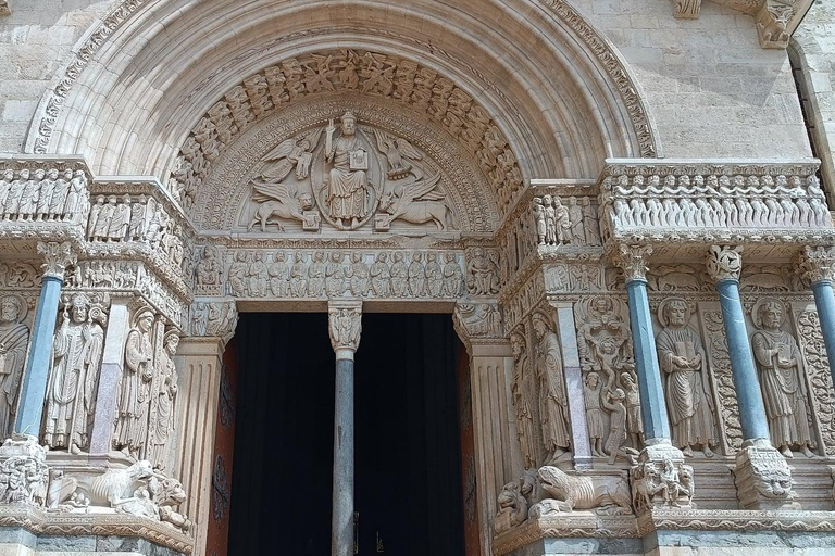 Arles Roman jewel & Provence wildlife