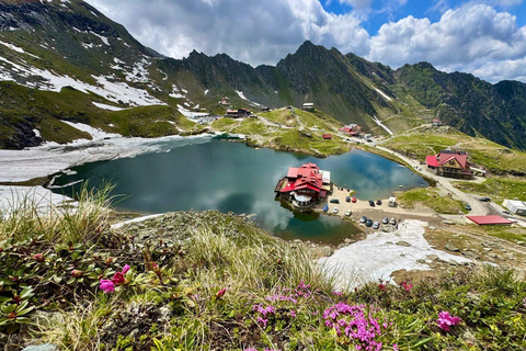From Brasov: Transfăgărășan Highway & Bâlea Lake Day Trip