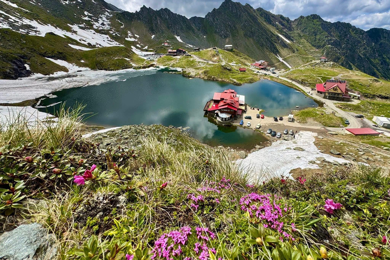 From Brasov: Transfăgărășan Highway & Bâlea Lake Day Trip