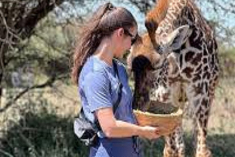 Moshi &amp; Arusha Animal Feeding Safari Adventures Experience