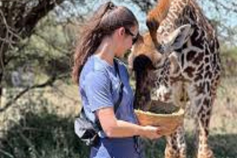 Moshi &amp; Arusha Animal Feeding Safari Adventures Experience