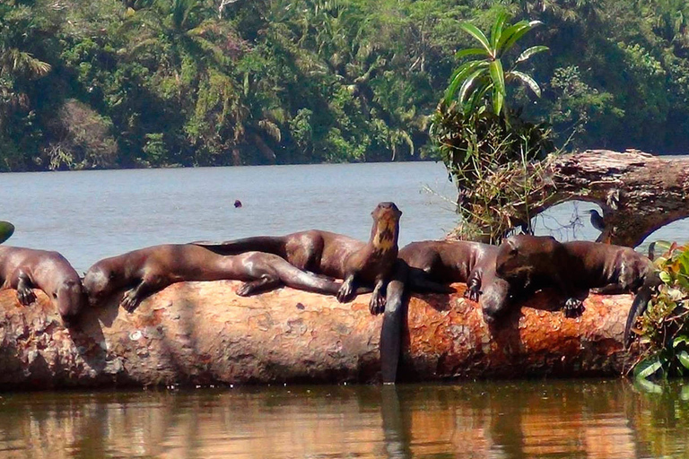 Tocht naar tambopata: amazoneavontuur 3D/2N