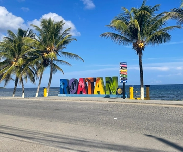 Roatan Island Tour + Beach