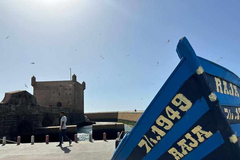 From Marrakech: Essaouira Day Trip with Optional Activities