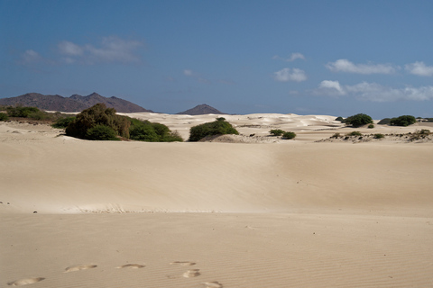 Agadir: 4×4 Jeep Desert Safari z lunchem Tajin i kuskusem