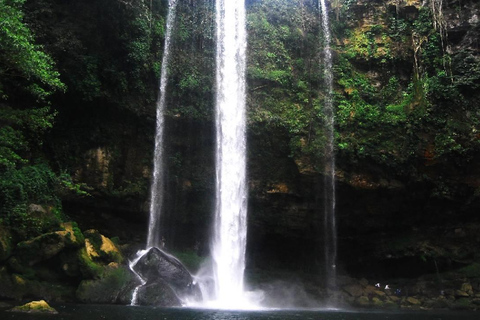 Au départ de Tuxtla Gutierrez : circuit de 4 jours à Palenque et au ChiapasDepuis Tuxtla Gutierrez : circuit de 4 jours à Palenque et au Chiapas