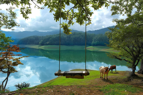 Tour particular pelo lago Lankaran KhanbulanTour particular por Lankaran Khanbulan