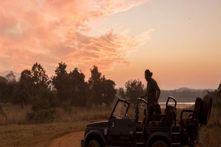 Ranthambore: core zone-1 to 5 Gypsy Tiger Safari with Lunch Ranthambore:core zone 1 to 5 canter jungle safari with lunch