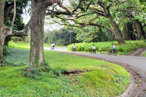 E-BIKE Honolulu Rainforest: 10-Miles of Smiles w/epic views