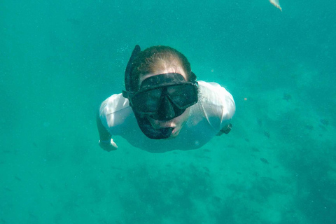 Zanzibar: Mnemba Island, Jozani forest & The Rock restaurant Private tour no Hotel pick up and drop-off included