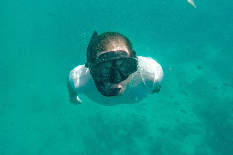 Zanzibar: Mnemba Island, Jozani forest & The Rock restaurant Private tour no Hotel pick up and drop-off included