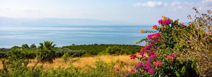 Au départ de Jérusalem : Excursion d'une journée en Galilée