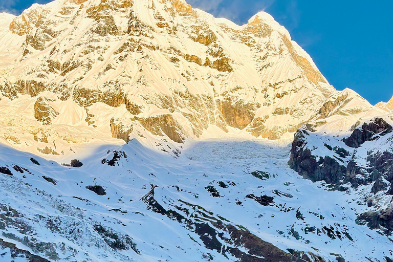 Pokhara: 7 Day Annapurna Base Camp Trek with Wildlife Tour