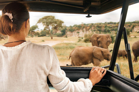 2-Days Private Luxury Safari from and back to Zanzibar