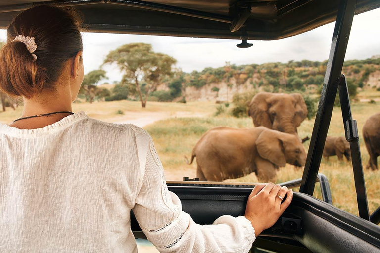 3 Dagen Privé Lodge Safari vanuit Zanzibar met vluchten