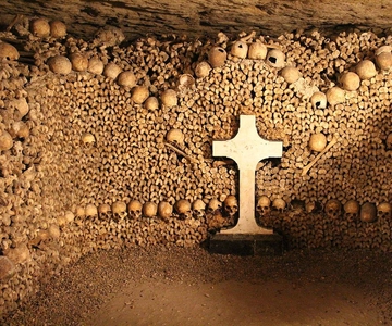 Paris: Catacombs Entry & Seine River Cruise with Audio Guide
