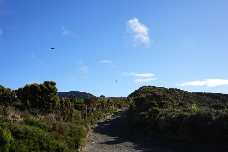 Azoren: São Miguel und Lagoa do Fogo Wanderung