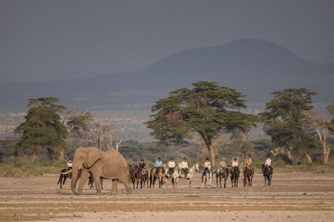 Ochtendrit te paard bij Dolly Estate: Wilde dieren &amp; prachtig uitzicht