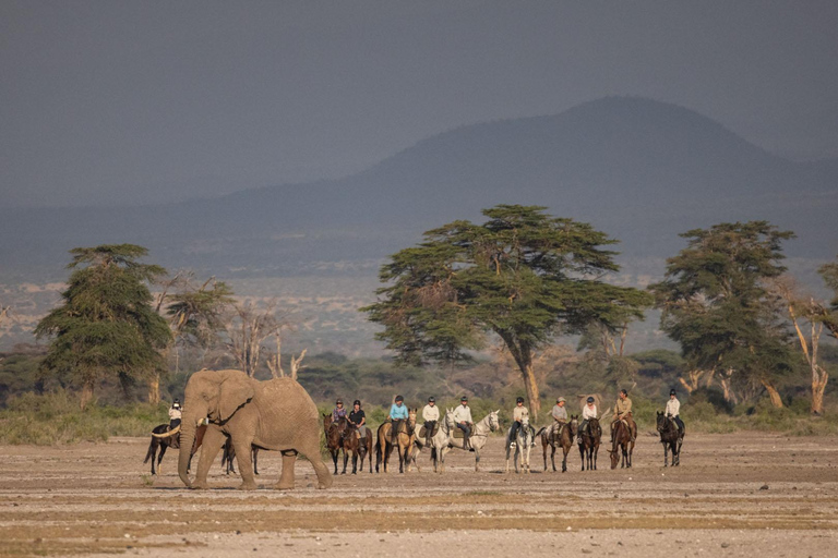 Ochtendrit te paard bij Dolly Estate: Wilde dieren &amp; prachtig uitzicht