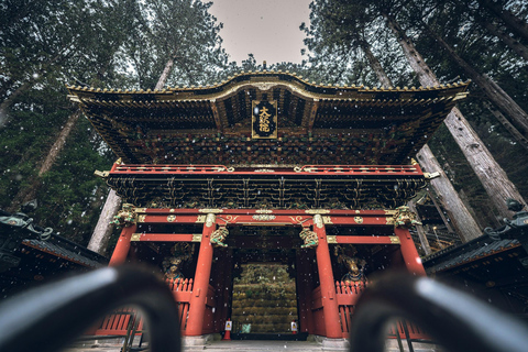 Från Tokyo: Nikko heldagsutflykt med sightseeing