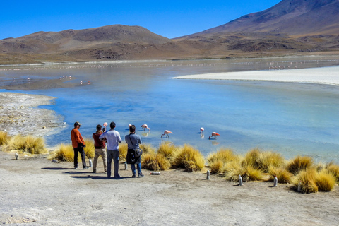 3-Day Salt Flats & Altiplano Tour to San Pedro de Atacama ENGLISH TOUR